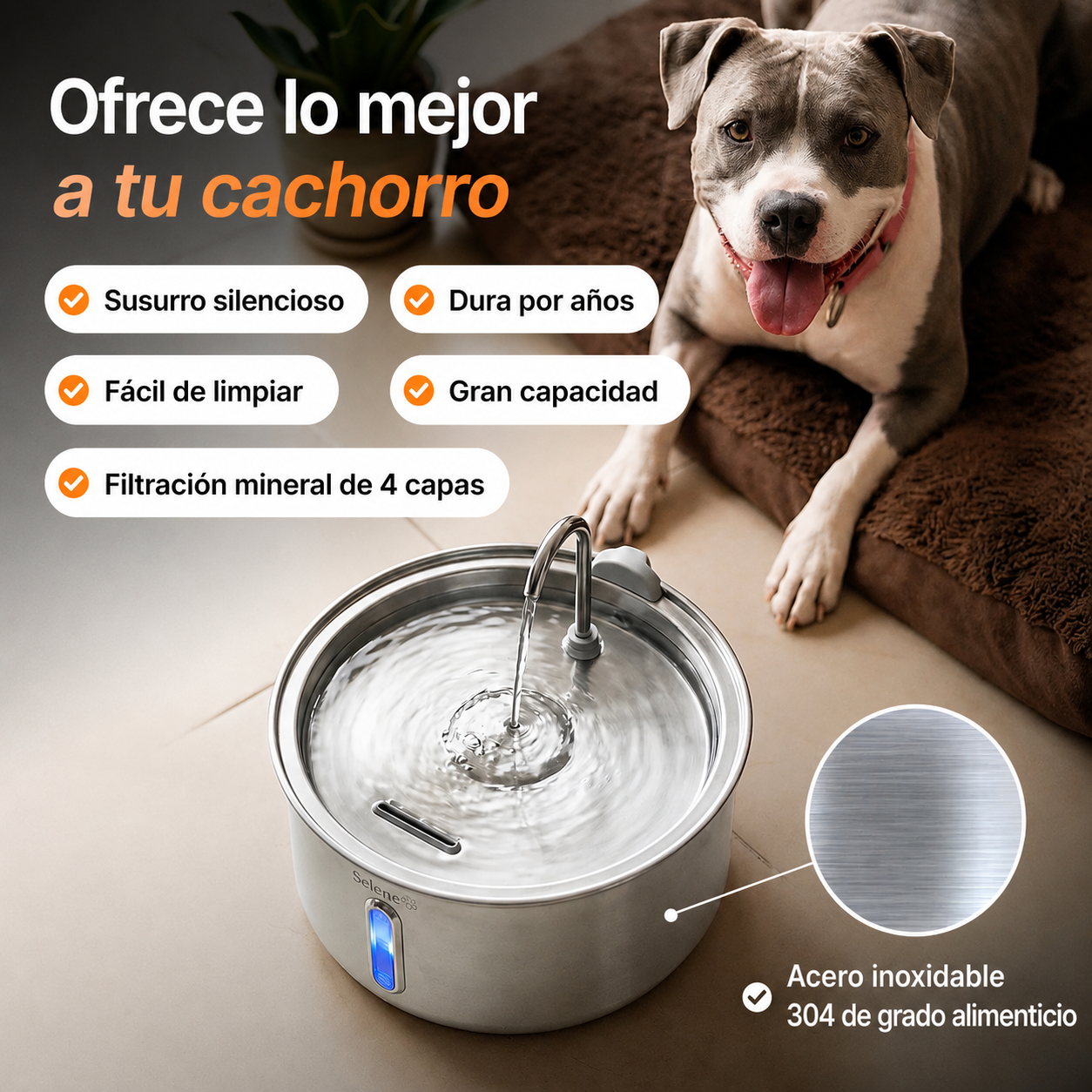 Pure Paw Water