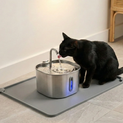 Pure Paw Water