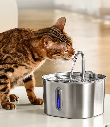 Pure Paw Water
